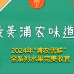 浦农优鲜系列南汇水果完美收官