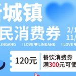 上海南汇新城镇餐饮消费券满300减120元